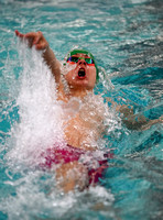 021719_MIAA_States_BoysDiv2_1561_Final