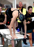 021619_MIAA_States_GirlsDiv2_0943_MXP