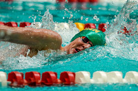 20200216_MIAASwim_BoysStates_Div2_2433_Final